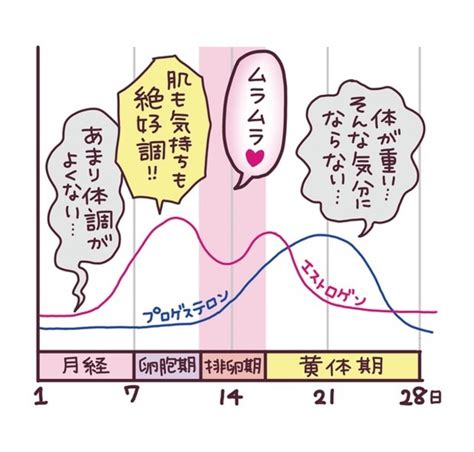 生理 終わりかけ 性欲|女性の性欲の流れを徹底解説【生理中・排卵日・妊娠。